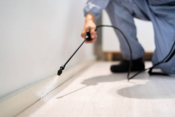 Rodent Entry Point Assessment in Clearlake Oaks