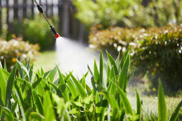 Tamper-Resistant Bait Stations for Rodents in Clearlake Oaks