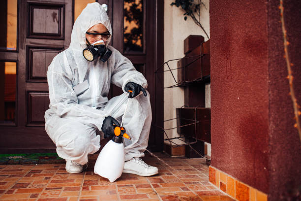 Attic and Crawl Space Rodent Treatment in Clearlake Oaks