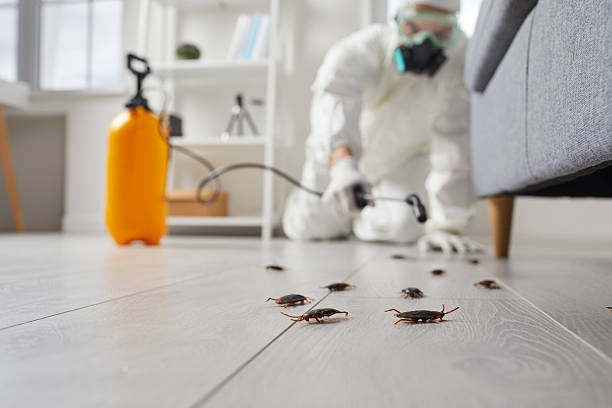 Commercial Rodent Management in Clearlake Oaks